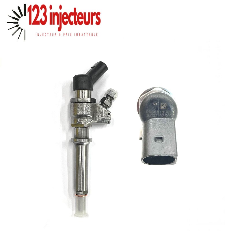 Injecteur Siemens Peugeot Citroen 2.0hdi 9652173780 9636819380 9652173680 Delphi Injecteur Siemens Peugeot Citroen 2.0hdi 9652173780 9636819380 9652173680 Delphi