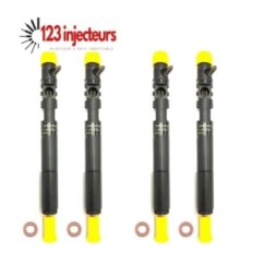 4 x injecteur Delphi EJBR02801D EJBR01901Z Kia Carnival Hyundai Terracan 2,9 CRDI-