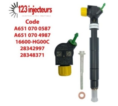 A6510700587 A6510704987 EMBR00002D Original Delphi C-E-Sprinter OM651 220 CDI