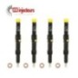 4x Injecteur EJDR00801D Ford Mondeo 2,0 TDCI 6S7Q9K546BA 130PS 4x Injecteur EJDR00801D Ford Mondeo 2,0 TDCI 6S7Q9K546BA 130PS