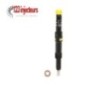 4x Injecteur EJDR00801D Ford Mondeo 2,0 TDCI 6S7Q9K546BA 130PS 4x Injecteur EJDR00801D Ford Mondeo 2,0 TDCI 6S7Q9K546BA 130PS