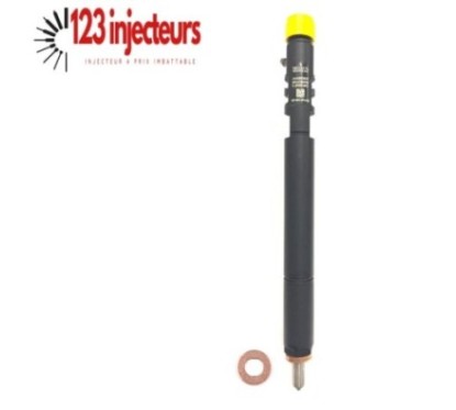 Injecteur EJBR02601Z A6650170321 Ssangyong Rexton 2,7 Silencieux 163PS