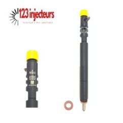 Injecteur EJBR02601Z A6650170321 Ssangyong Rexton 2,7 Silencieux 163PS