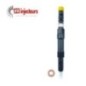 Ford Mondeo buse d'injection buse d'injecteur DELPHI EJDR00601D- Ford Mondeo buse d'injection buse d'injecteur DELPHI EJDR00601D-
