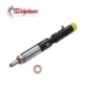 4x Injecteur delphi EJBR02901D R03701D 33800-4X800 Hyundai Terracan 163PS 120kW