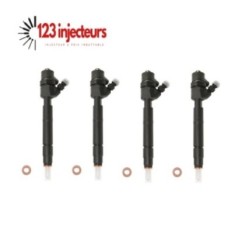 4x Injecteur Bosch 0445110008 0986435002 0445110044 0986435003 Citroen Peugeot