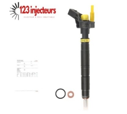 Injecteur buse d'injection Range Rover Sport 4.4 TDV8 AH4Q-9K546-BA 0445116037-