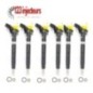 6 x injecteur buse d'injection Audi A4 A5 A6 Q7 2,7 + 3,0 TDI 059130277AR 059130277BE-