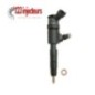 Buse d'injection Ford Citroen Peugeot0445110135 1980A9 96487862 9648786280-