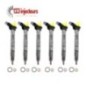 Injecteur Injecteur 6x Audi A4 A5 A6 Q5 2,7 3,0 Tdi 059130277AR 059130277BE Injecteur Injecteur 6x Audi A4 A5 A6 Q5 2,7 3,0 Tdi 059130277AR 059130277BE