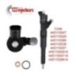 Injecteur 0445110029 0445110047 BMW E46 E39 E38 E53 330d 330xd 530d 730d 785984 Injecteur 0445110029 0445110047 BMW E46 E39 E38 E53 330d 330xd 530d 730d 785984